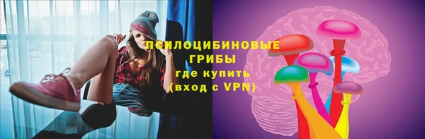 соль курить ск Белокуриха
