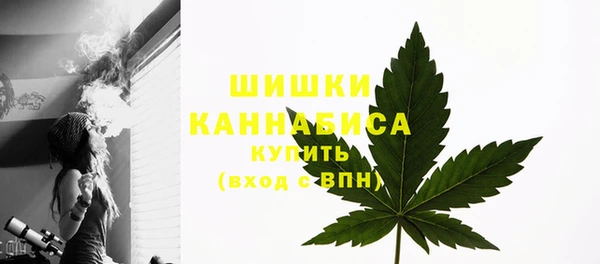 соль курить ск Белокуриха