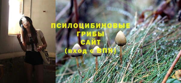 ПСИЛОЦИБИНОВЫЕ ГРИБЫ Покровск