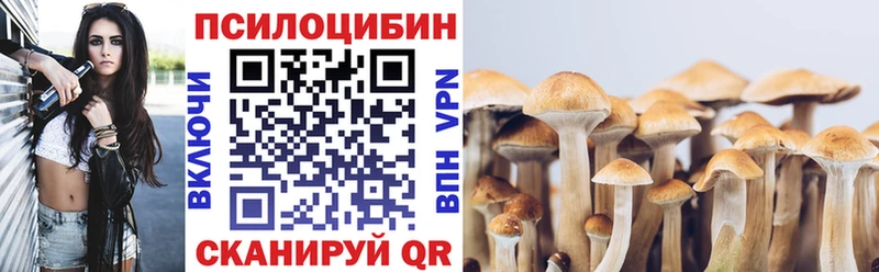 сайты даркнета формула  Козьмодемьянск  Псилоцибиновые грибы Magic Shrooms 